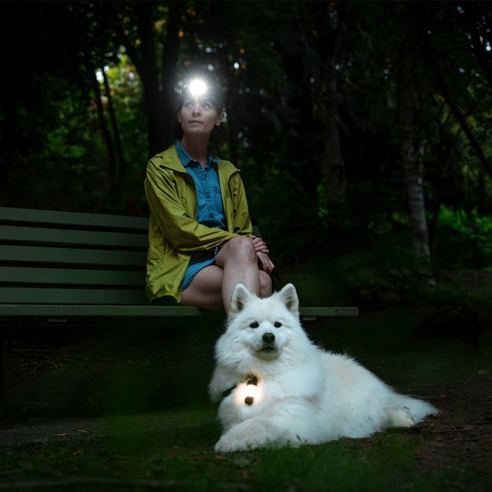 ML4 Warm Light